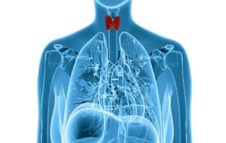 Help for Thyroid and Adrenal Problems - hypothyroidism; Biologix treatment philosophy; natural medicine for thyroid issues; tissue resistance; pharmaceutical hormone replacement alternatives; low-potency homeopathic glandular;