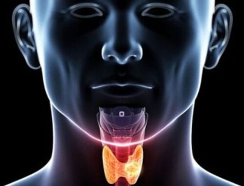 Problems in the World of Thyroid and Adrenal Testing and Treatment