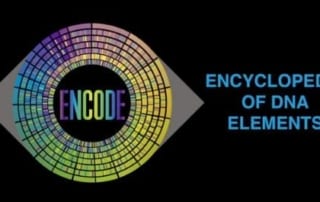 Meta-functional Genetic/Epigenetic Breakthroughs for Chronic Illnesses - Biologix medical innovation; ENCODE Project; NHGRI; gene switches; Epigenetic Breakthroughs; Meta-functional Genetic; humane genome;
