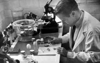 Lyme Disease - Our Results Come from Years of Experience and Research - lyme disease awareness green ribbon; lyme disease; NeuroAntitox; bulls-eye rash; LD; Mayo Clinic of Biological Medicine; BioResonance Scanning (BRS); history of lyme disease;