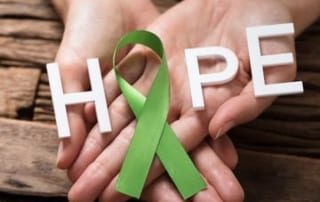 The Green Ribbon represents Lyme Disease Awareness. Lyme disease or Lyme borreliosis is the most common tick-borne disease in the United States and Europe, and one of the fastest growing infectious diseases in the United States.