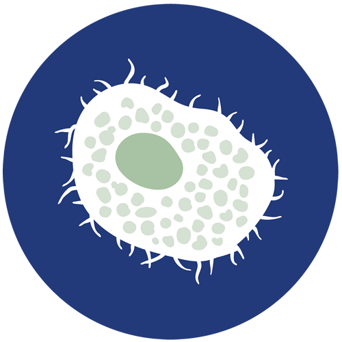 Home - chronic illness treatment