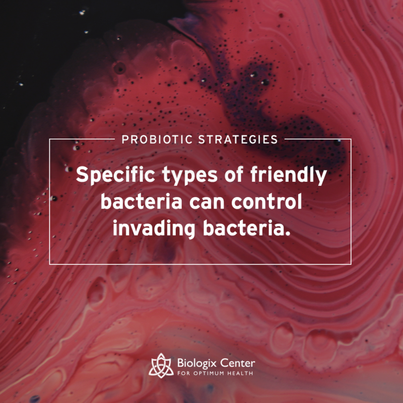 Bacterial Wars Using strategic friendly bacteria to target and kill bad bacteria and cure
