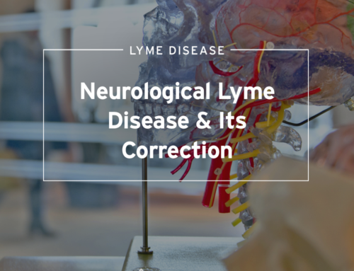 Neurological Lyme Disease and Its Correction; Neuroborreliosis, MS, ALS, Parkinson’s, and More