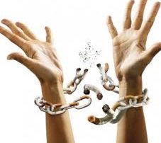 Lyme + Bartonella and Beyond