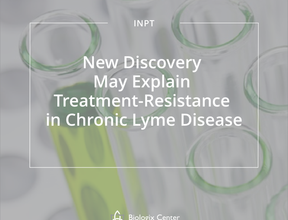 New LymePhage Treatment Appears to Eliminate Borrelia in Two Weeks