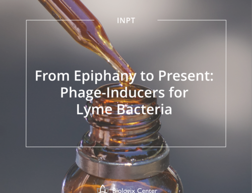 From Epiphany to Present: Phage-Inducers for Lyme Bacteria