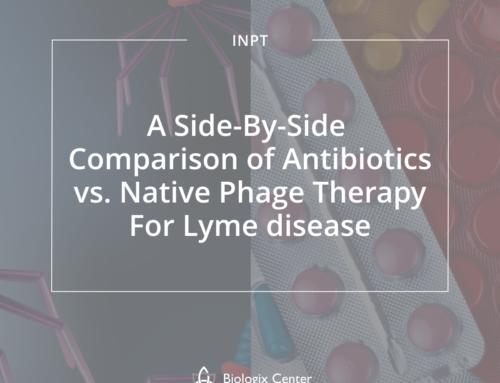 A Side-By-Side Comparison of Antibiotics  V  Native Phage Therapy for Lyme Disease