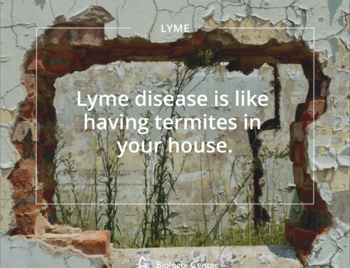 Lyme Disease; Like Having Termites in Your House!