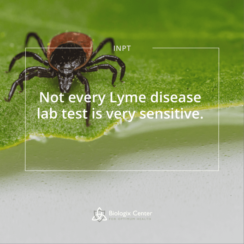 Not Every Lyme Disease Lab Test Is Very Sensitive Biologix Center   Lyme Disease Testing Best Most Sensitive 800x800 