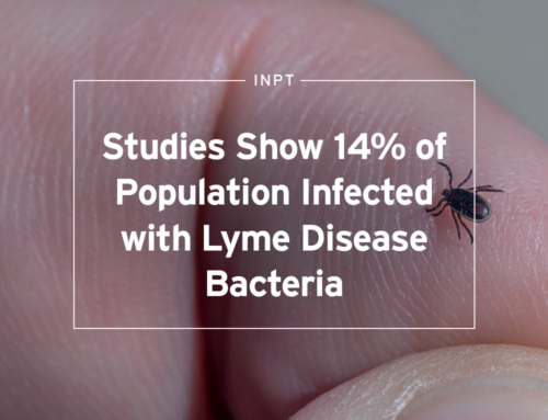 Studies Show 14% of Population Infected with Lyme Bacteria