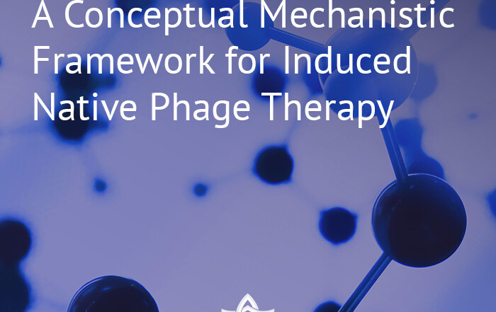Conceptual Mechanistic Framework for Induced Native Phage Therapy (INPT) in Multidrug-Resistant Infections and Tumor-Associated Microbiomes - framework for inpt