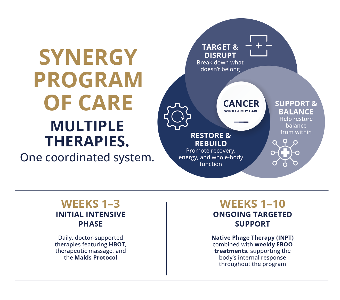 Makis Protocols Cancer Program in Tennessee | Biologix Center - Makis protocol cancer Tennessee