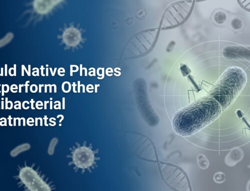 Could Native Phages Outperform Other Antibacterial Treatments?