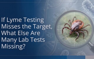 Lyme Disease Testing Limitations - Lyme disease testing limitations