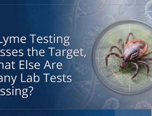 Lyme Disease Testing Limitations