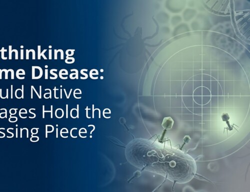 Lyme Disease: Could Native Phages Hold the Missing Piece?
